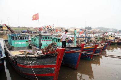 Nhiều tàu cá ở địa phương ven biển miền Bắc, miền Trung đang nằm bờ